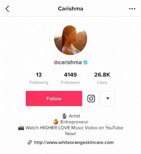A TikTok profile with a link to Instagram