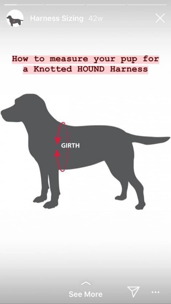 Hound Collection - examples of e-commerce brands using Stories - Sked Social