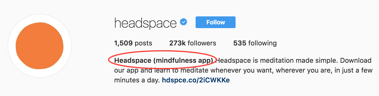 Good Instagram Bios Ideas.