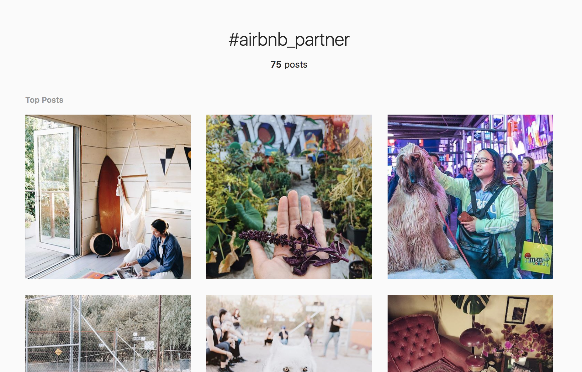 Instagram Sponsored Post - Schedugram
