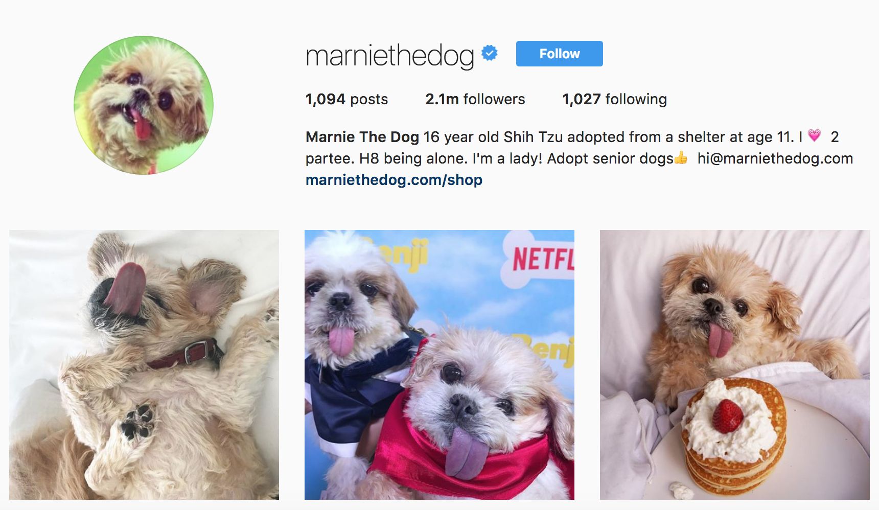 make money on Instagram