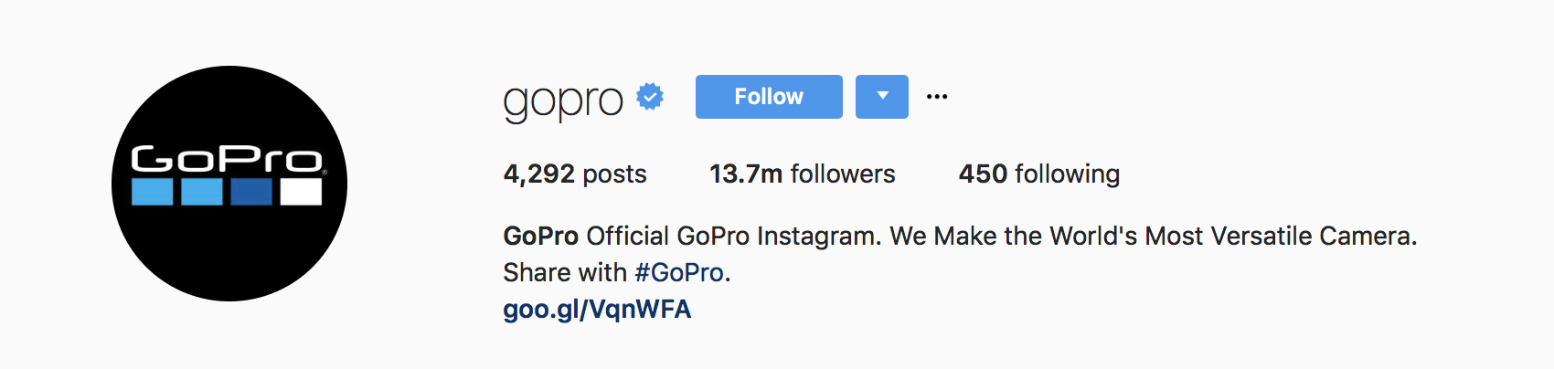 instagram business bio