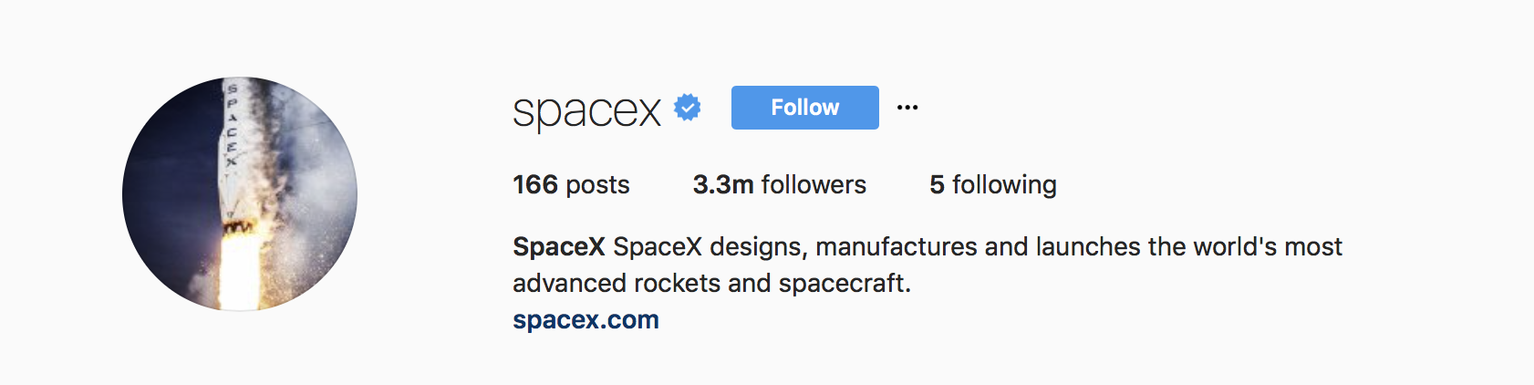 instagram business bio