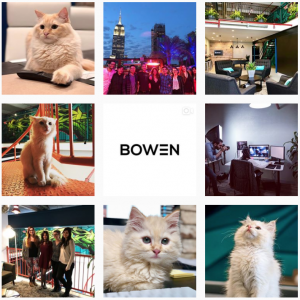 Aesthetic Instagram Accounts: Best Agency Instagram Accounts - Bowen Media - Sked Social
