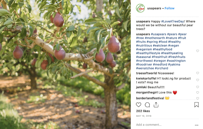 May Social Media Holiday Campaign Ideas - Love a Tree Day - Sked Social