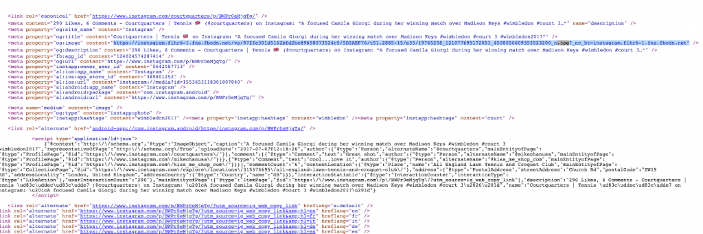 How To Save Instagram Photo -PC or Mac - Copy URL - Sked Social