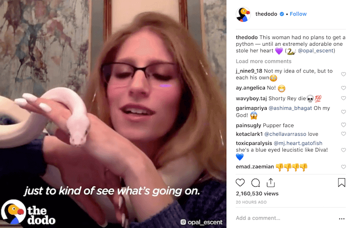 Video Captions for Instagram - Sked Social - The Dodo.png